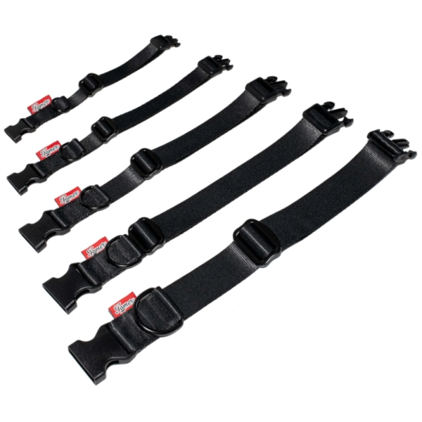 Halsband BASIC - schwarz